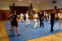Bild (29)